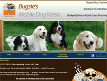 Tablet Screenshot of bugsie.co.uk